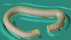 The finite element mesh of an aluminum carabiner forging at the beginning of stroke. (Graphic by courtesy of DMM International.)