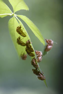 Beta Newequipment Com Sites Newequipment com Files Not Everyones Happy About Spring Showing Getty 50841220 Beta Newequipment Com Sites Newequipment com Files Not Everyones Happy About Spring Showing Getty 50841220