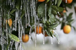 Beta Newequipment Com Sites Newequipment com Files Not Everyones Happy About Spring Getty 73022407 Beta Newequipment Com Sites Newequipment com Files Not Everyones Happy About Spring Getty 73022407