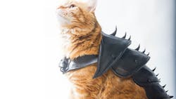 Beta Newequipment Com Sites Newequipment com Files Battlecat Beta Newequipment Com Sites Newequipment com Files Battlecat