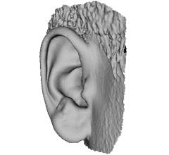Beta Newequipment Com Sites Newequipment com Files Digitally Rendered Human Ear