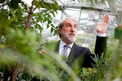 Daniel Nocera, a professor of energy at Harvard, is leading a team developing the &apos;artificial leaf,&apos; 10 times more energy-efficient than natural organisms are.