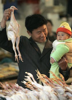 Beta Newequipment Com Sites Newequipment com Files Man Holding Slaughtered Chicken Getty 57408224 Beta Newequipment Com Sites Newequipment com Files Man Holding Slaughtered Chicken Getty 57408224