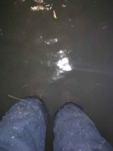 Standing in water to demonstrate water resistance.