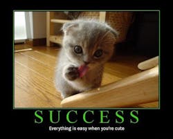 Www Newequipment Com Sites Newequipment com Files Cute Cat Www Newequipment Com Sites Newequipment com Files Cute Cat