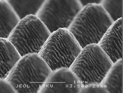 Www Newequipment Com Sites Newequipment com Files Laser Induced Periodic Surface Structures Lipss Www Newequipment Com Sites Newequipment com Files Laser Induced Periodic Surface Structures Lipss