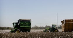 Www Newequipment Com Sites Newequipment com Files Cotton Field Mississippi Www Newequipment Com Sites Newequipment com Files Cotton Field Mississippi