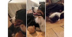 Www Newequipment Com Sites Newequipment com Files Portrait Ekstein Www Newequipment Com Sites Newequipment com Files Portrait Ekstein