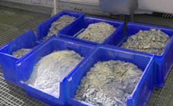 Www Newequipment Com Sites Newequipment com Files 04 Kalkschalen Www Newequipment Com Sites Newequipment com Files 04 Kalkschalen