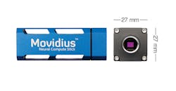 Firefly Size Scale Firefly Size Scale