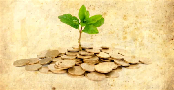 Plant growing from pile of coins