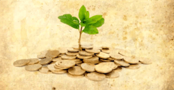 Plant growing from pile of coins Plant growing from pile of coins