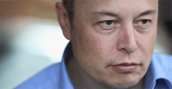 Musk Musk