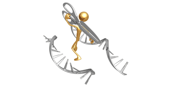 DNA cutting