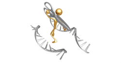 DNA cutting DNA cutting