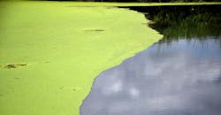 stagnant-pond stagnant-pond