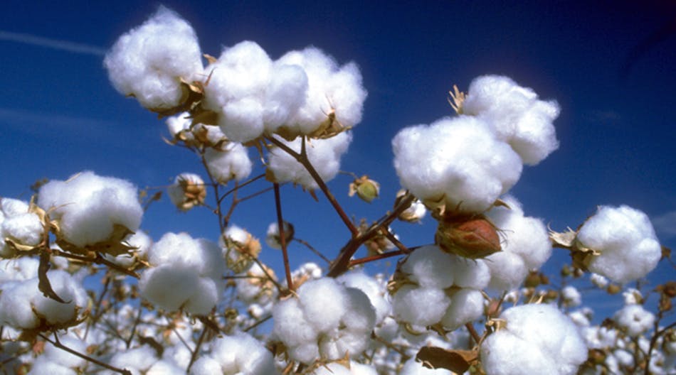 Newequipment 2090 Cotton Seeds