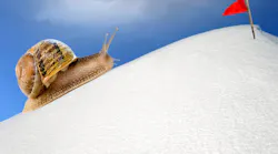 snail
