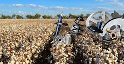 cotton lead cotton lead