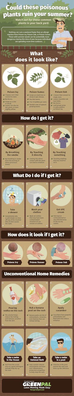 poisonivy-infographic poisonivy-infographic