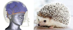 hedgemon-hedgehog hedgemon-hedgehog