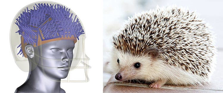 Hedgemon has developed a helmet insert based on a hedgehog&apos;s quill configuration that can reduce and possibly prevent concussions. The material may also be used in automotive and packaging.