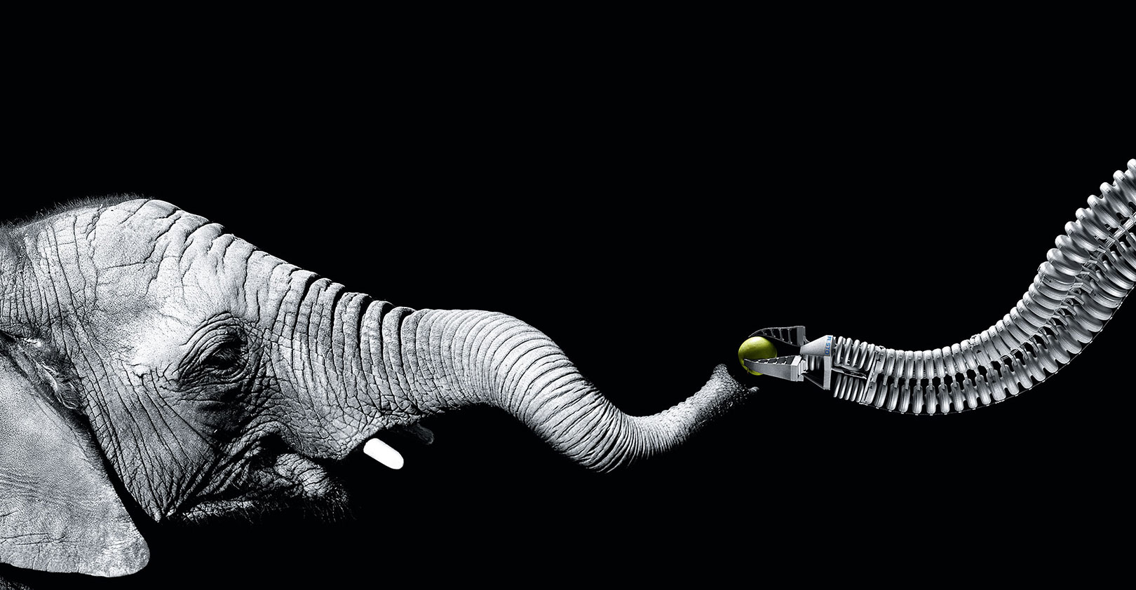 elephant-festo-bionic-handling-assistant