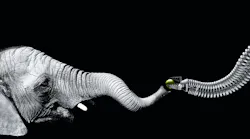 elephant-festo-bionic-handling-assistant