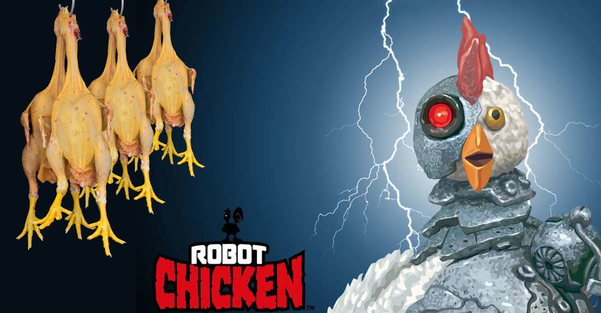 Robot Chicken Automation Puts Poultry Positions In Peril New Equipment Digest Robot Chicken Automation Puts Poultry Positions In Peril New Equipment Digest