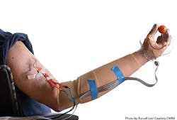 igor spetic400 igor spetic400