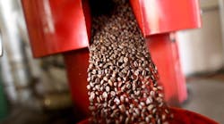 Newequipment 4444 Link Coffee Beans 1 1