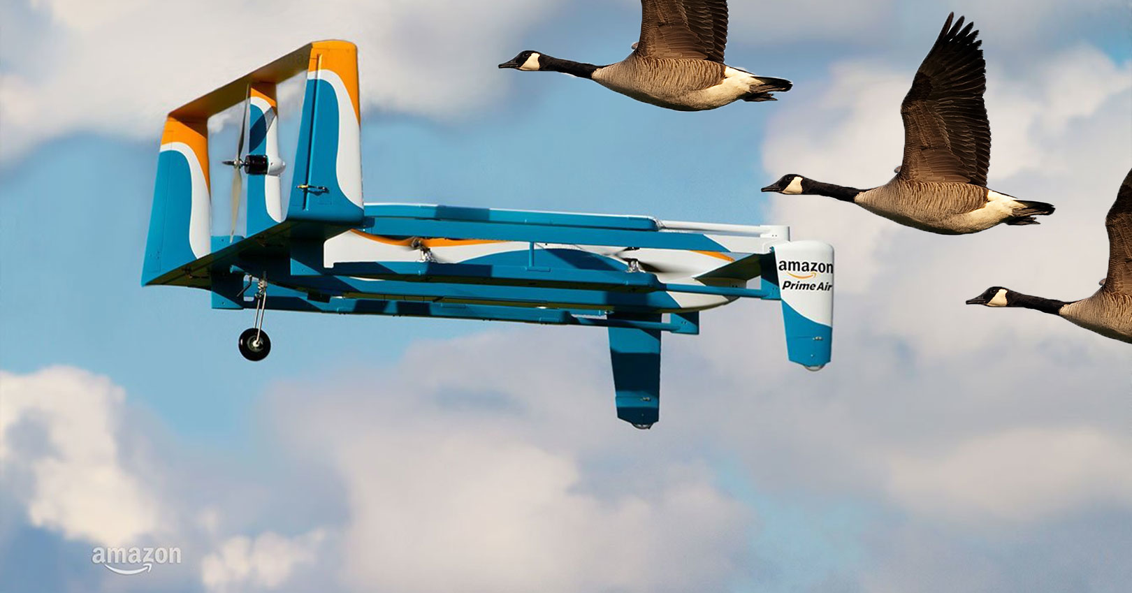 amazon-drone-flying-duck-goose