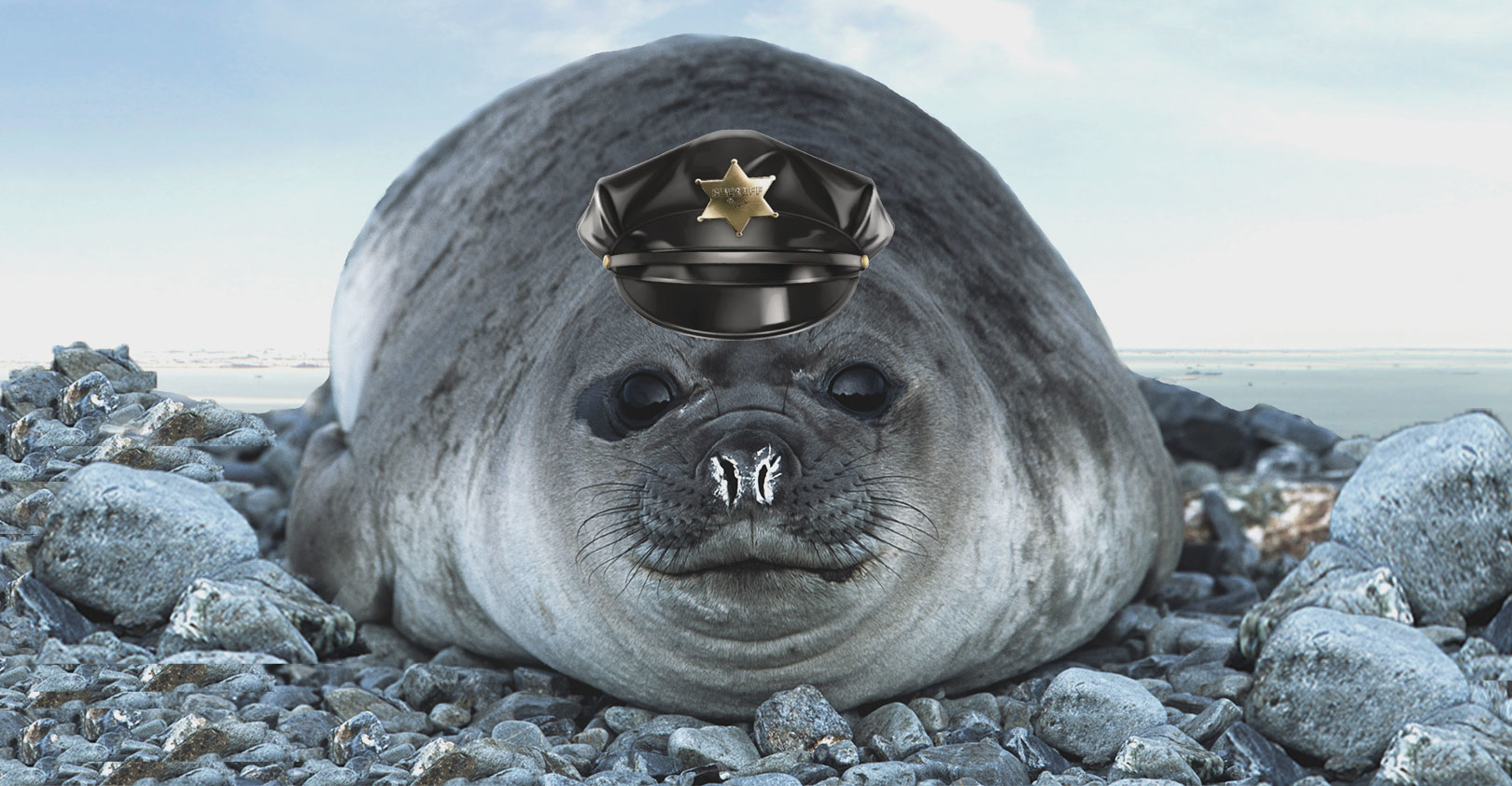 security-seal