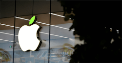 Apple Window 1 Apple Window 1