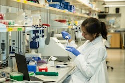 Woman-Doing-Research Woman-Doing-Research