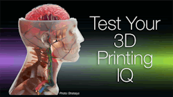 3D quiz promo 3D quiz promo