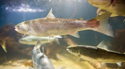 Nidec America Corporation Nidec America Corporation