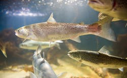 Nidec America Corporation Nidec America Corporation