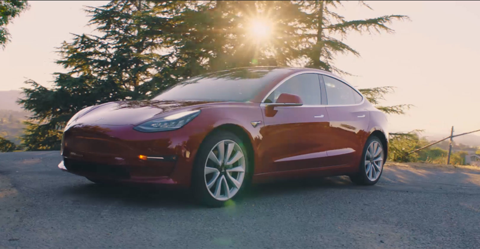 tesla-model-3-sun-forest