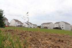 unlevel-yard-dirt unlevel-yard-dirt