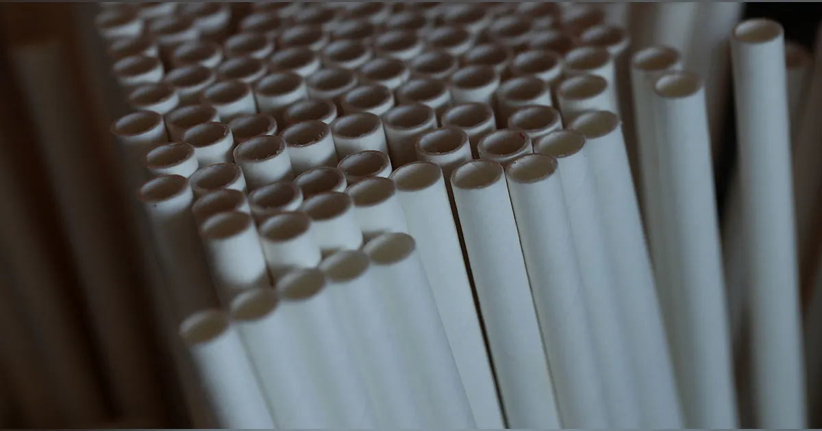 Straw Planet The Last(ing) Straw: Manufacturers Innovate to Help Themselves and ...