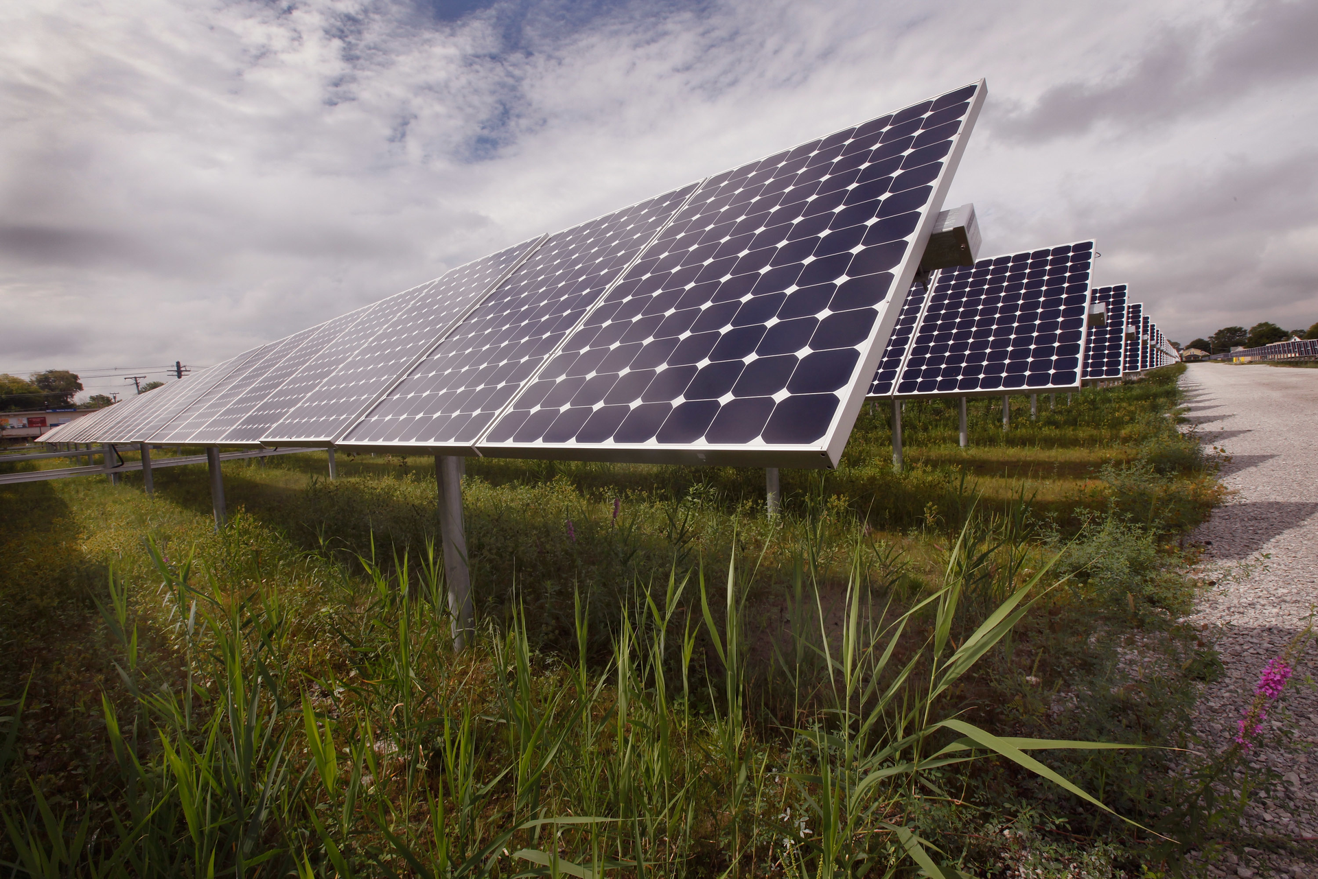 Solar panels in field