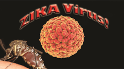 Zika Virus Graphic
