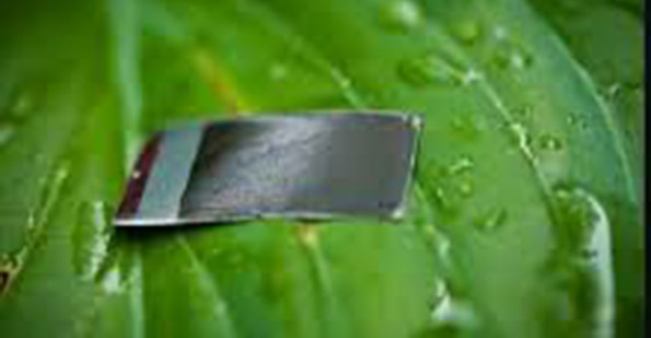 Harvard artificial leaf close up image