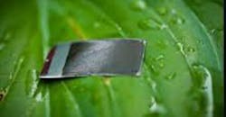 Harvard artificial leaf close up image Harvard artificial leaf close up image