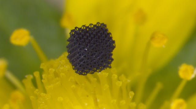 A lattice structure made using 3D-printed aerogel, one of the lightest materials known, sits atop a flower.