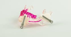 VSP Mandible VSP Mandible