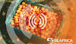 Silafrica_SmartCrate_PR_image-(002).jpg Silafrica_SmartCrate_PR_image-(002).jpg