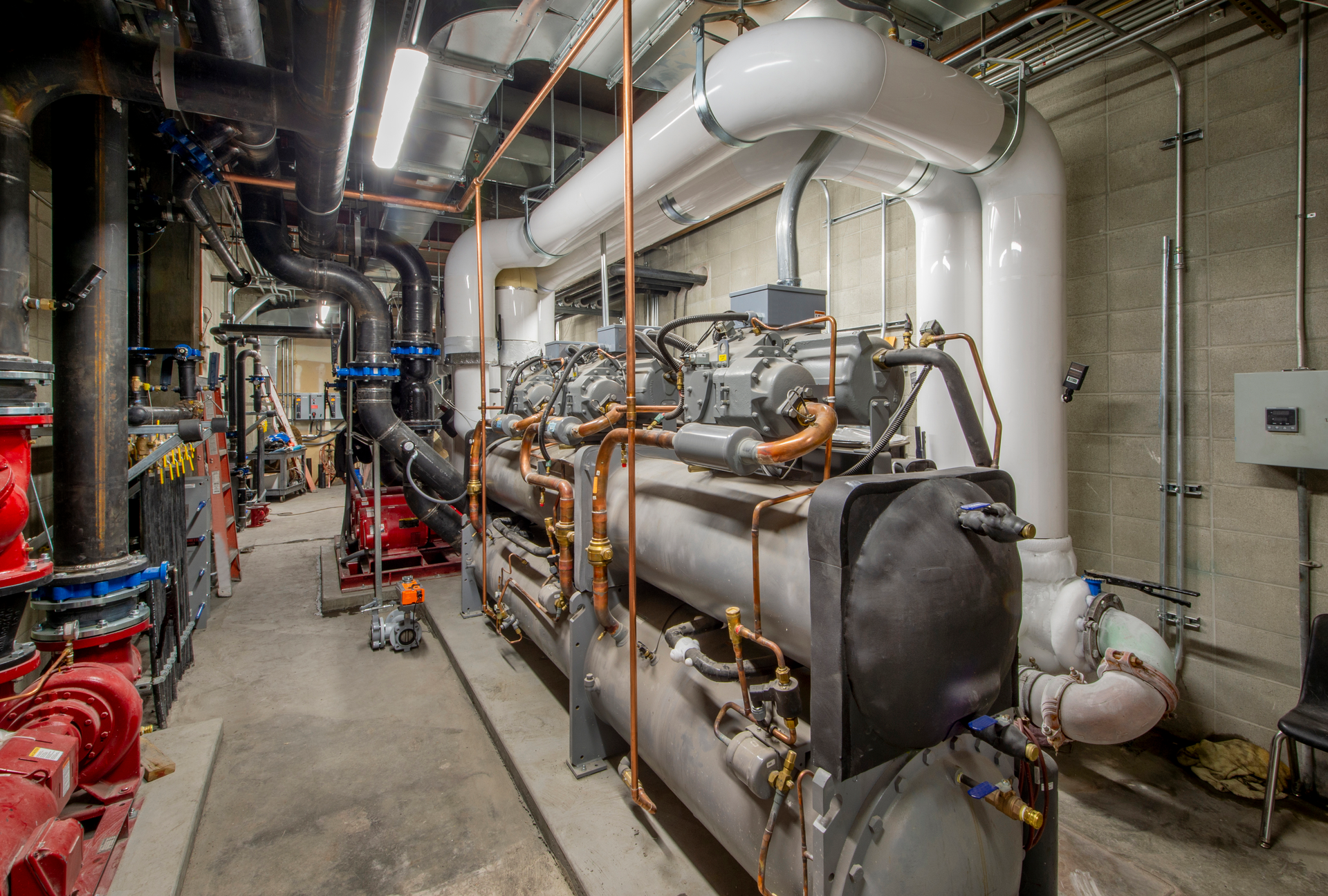 Ammonia Detection Exp 1