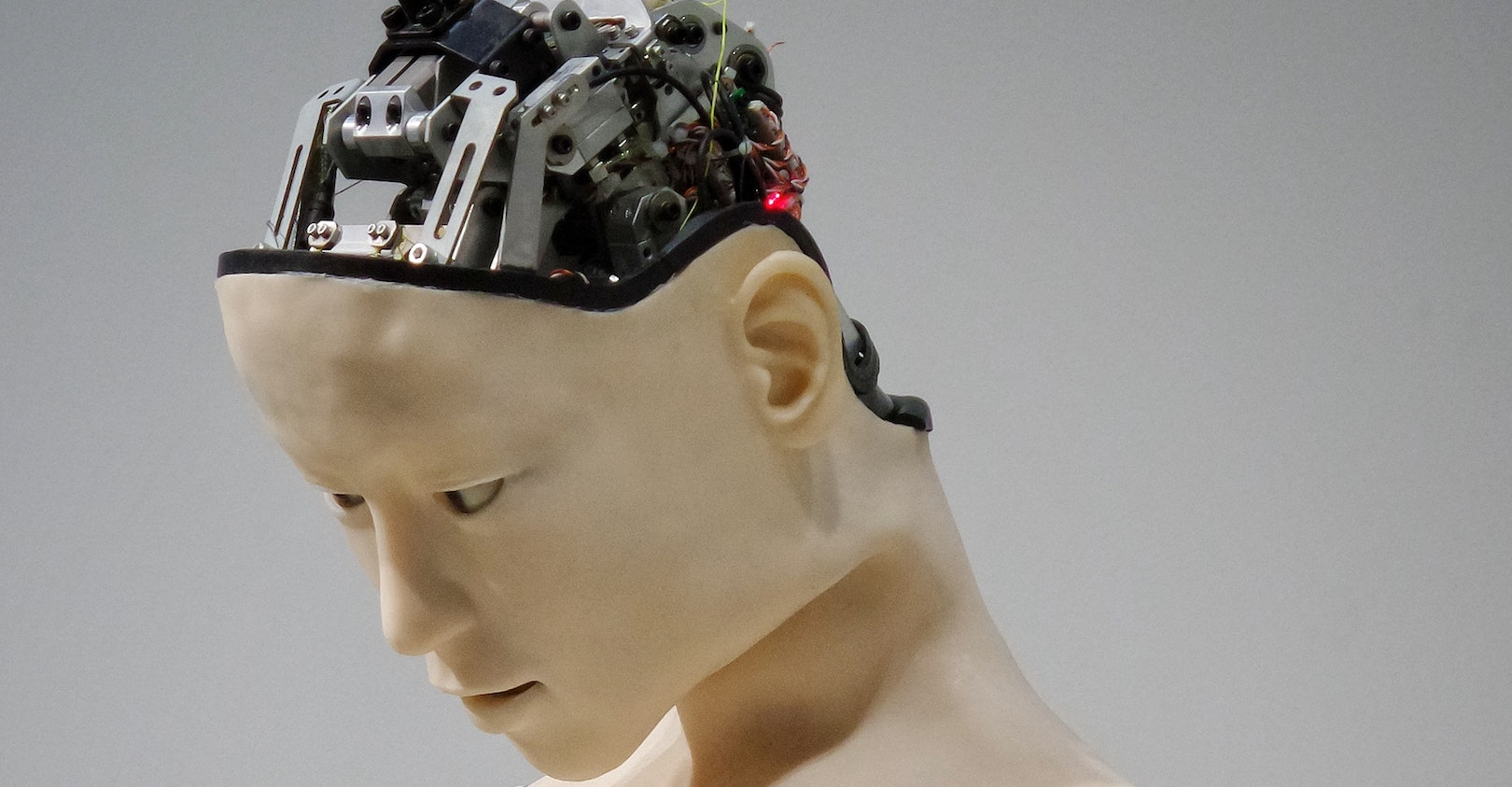 Franck V Ykw0 Jj P7rl U Unsplash 5e68f3a24311b 5e72447184ac7